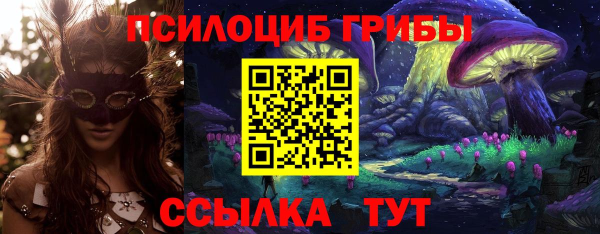 Северск  Псилоцибиновые грибы мицелий  Вход с VPN 