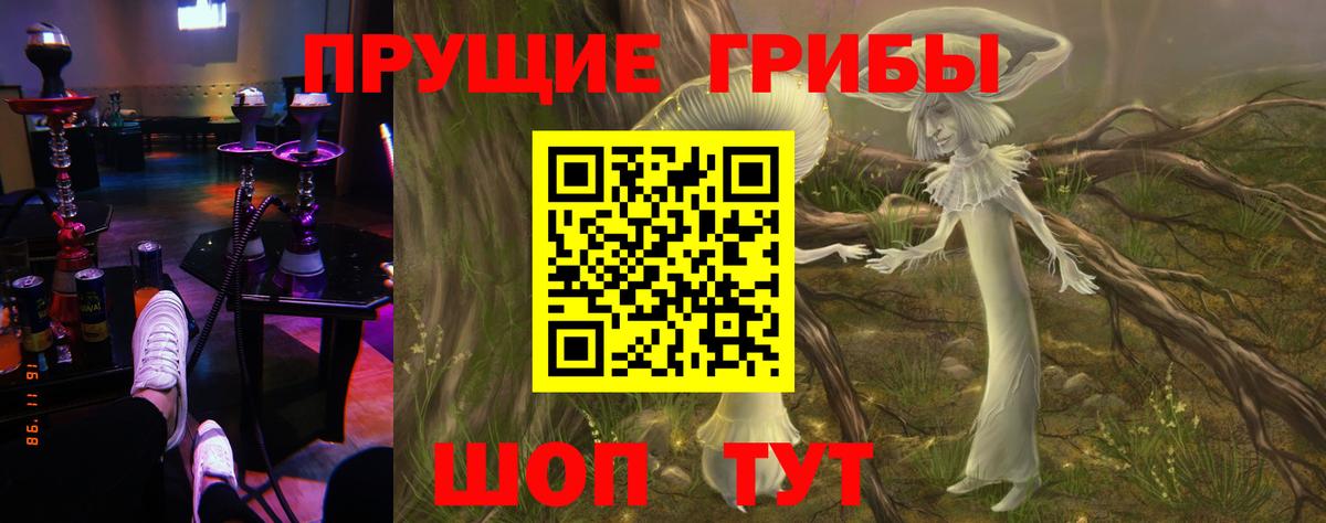 Галлюциногенные грибы GOLDEN TEACHER Северск